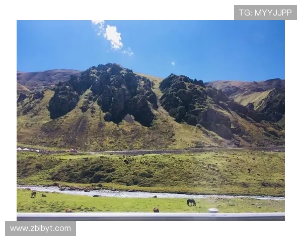 阿达玛谈库库冲突一切留在场上